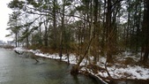 Enlarge photo 57