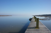 Bull Island 02MAR14