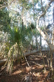 Enlarge photo 17