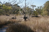 Enlarge photo 29