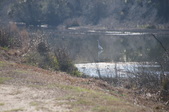 Enlarge photo 35