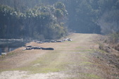 Enlarge photo 37