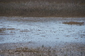 Enlarge photo 41