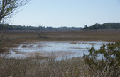 Enlarge photo 42