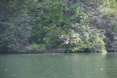 Jocassee 21 May