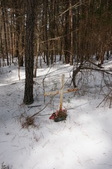 Enlarge photo 28