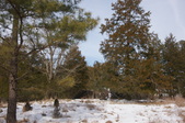 Enlarge photo 30