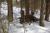 Enlarge photo 33