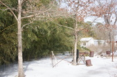 Enlarge photo 39