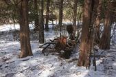 Enlarge photo 13