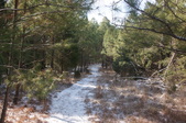 Enlarge photo 18