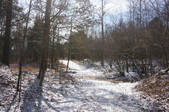 Enlarge photo 26