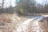 Enlarge photo 30