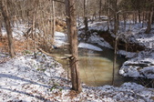 Enlarge photo 31