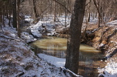 Enlarge photo 33
