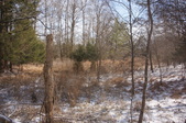 Enlarge photo 35