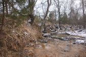 Enlarge photo 37