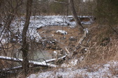 Enlarge photo 39