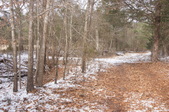 Enlarge photo 40