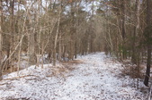 Enlarge photo 41