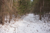 Enlarge photo 42