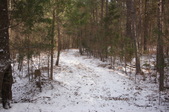 Enlarge photo 43