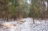 Enlarge photo 44