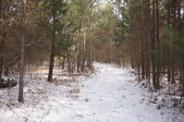 Enlarge photo 45