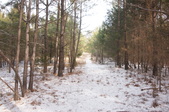 Enlarge photo 46