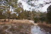Enlarge photo 47