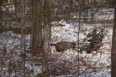 Enlarge photo 50