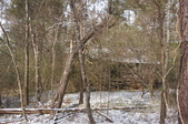 Enlarge photo 51