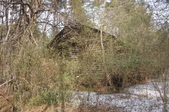 Enlarge photo 52
