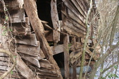 Enlarge photo 53