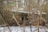Enlarge photo 54