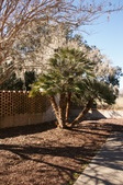Enlarge photo 25