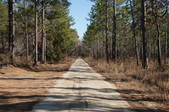 Enlarge photo 36