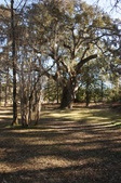 Enlarge photo 37