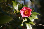 Enlarge photo 40