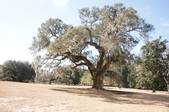 Enlarge photo 41