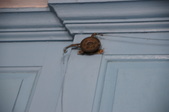 Enlarge photo 49