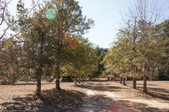 Enlarge photo 58