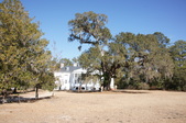 Enlarge photo 59