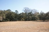 Enlarge photo 60