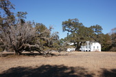 Enlarge photo 61