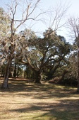 Enlarge photo 63