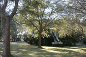 Enlarge photo 65