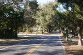 Enlarge photo 67