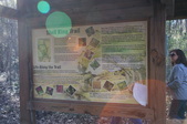 Enlarge photo 68