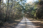 Enlarge photo 69